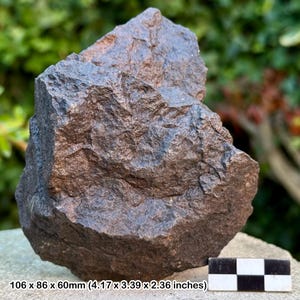 Enorme meteorite condrite comune H5 dall&#39;Africa nord-occidentale, Marocco - 607 g - esemplare autentico con certificato di autenticità