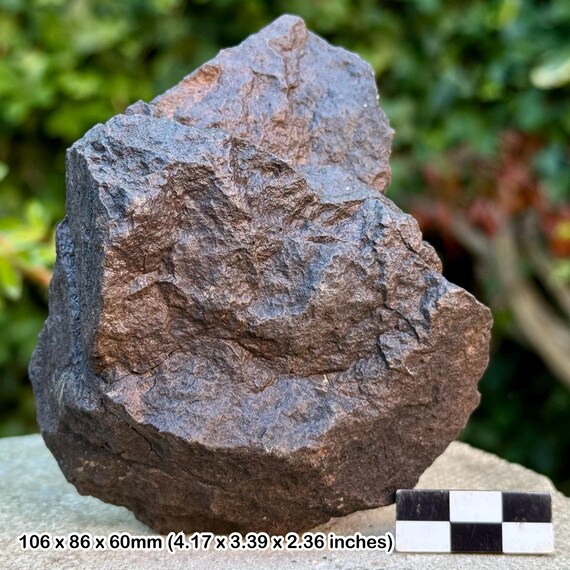 コンドライト隕石L5-6 鑑別書付き モロッコ産 北西アフリカ、モロッコ