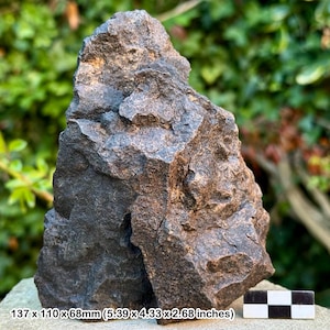 Enorme meteorite condrite comune H5 dall&#39;Africa nord-occidentale, Marocco - 1005 g - esemplare autentico con certificato di autenticità
