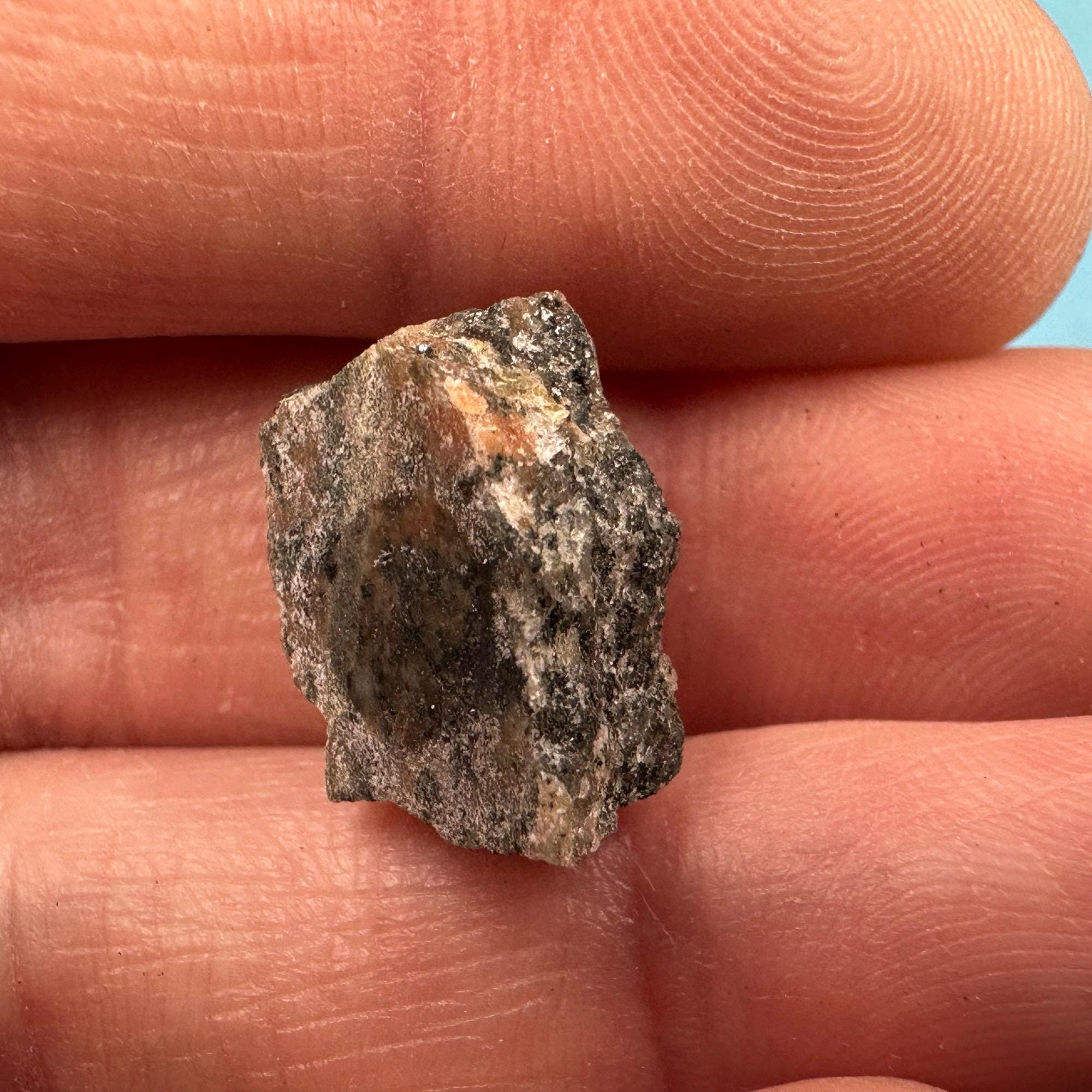 南極の石　複輝石片麻岩　貴重 本物のアカスタ片麻岩標本 – 地球上で最も古い岩石、36億～40億年前の