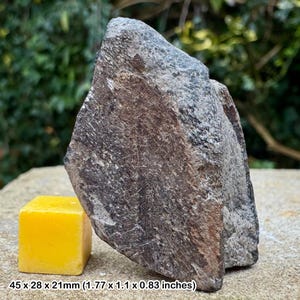 May include: A dark gray, brown, and black rock with a rough texture. The rock is about 1.77 inches long, 1.1 inches wide, and 0.83 inches thick. A small yellow cube is next to the rock for size comparison.