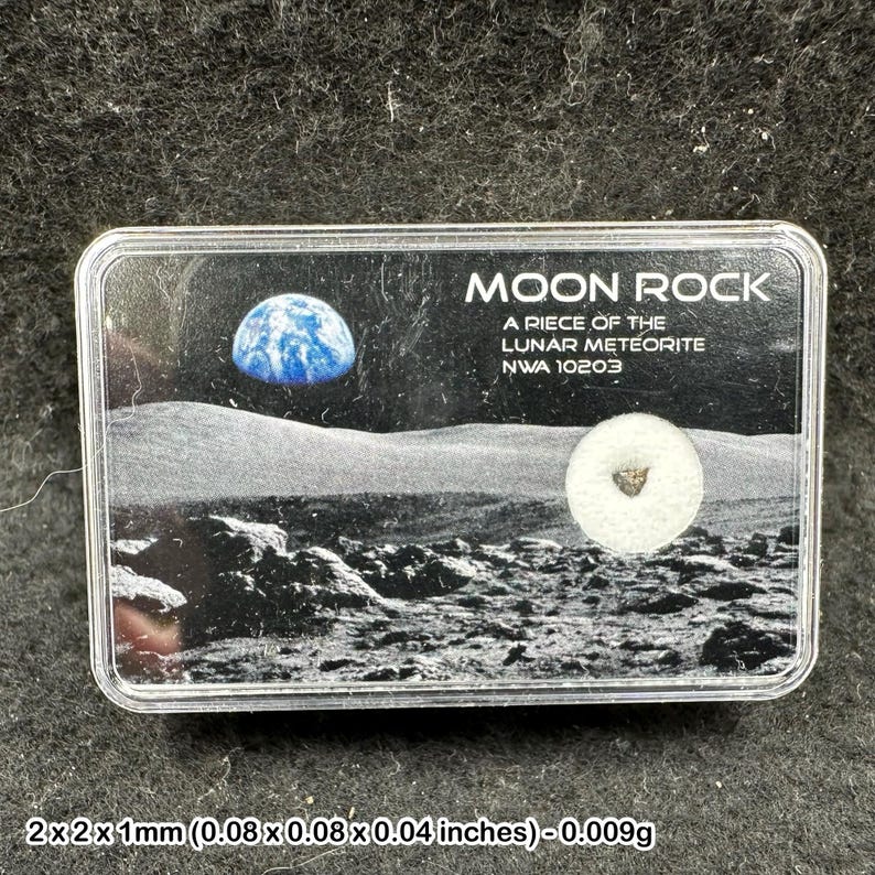 Roche lunaire certifiée - véritable météorite venue de l'espace image 1