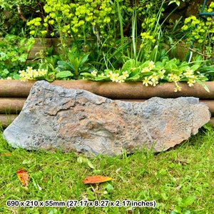 Rare triassic fossil bed - fish, shark, reptile bones & coprolite - blue anchor, somerset - coa included
