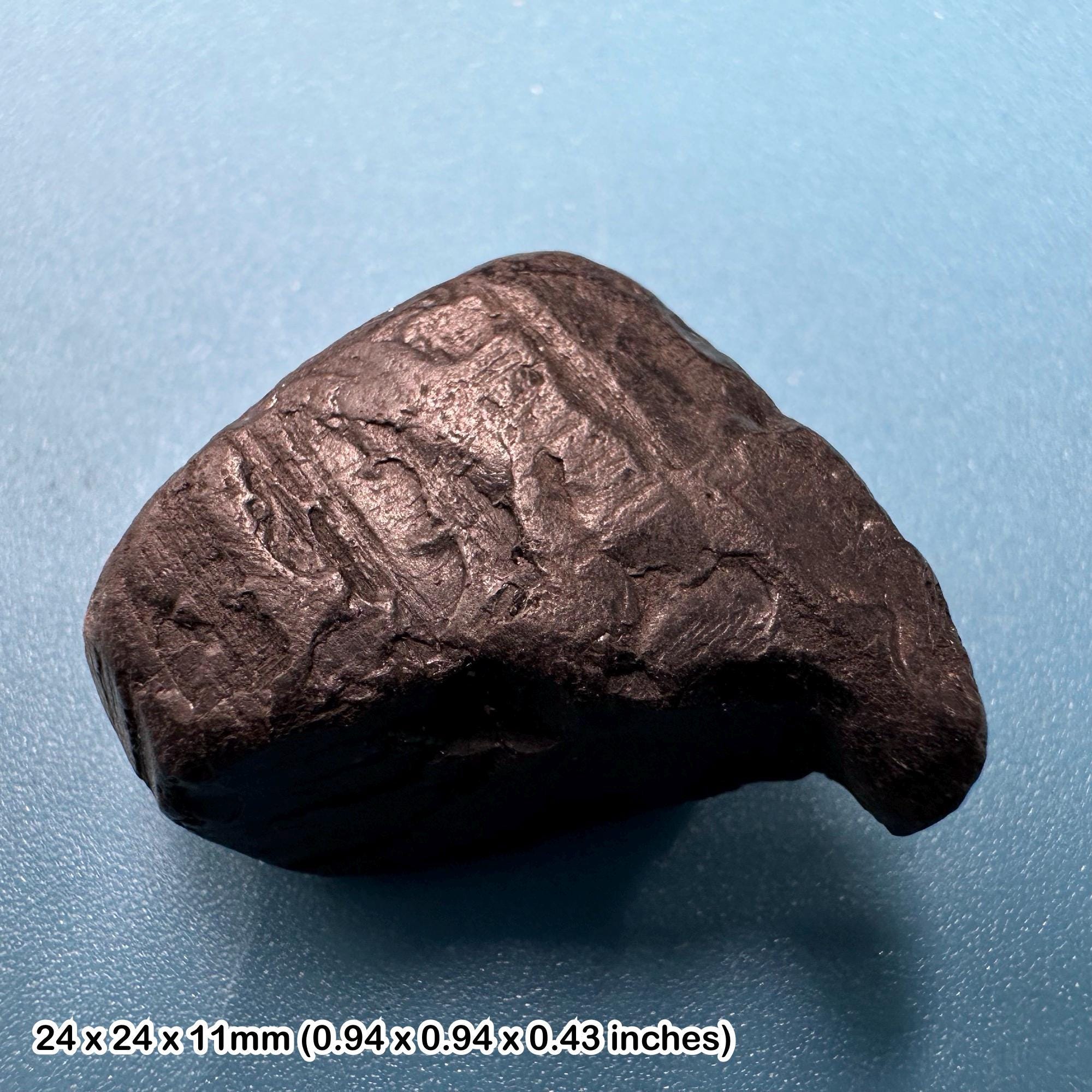 Whitby Jet Fossil Gemstone - Genuine Jurassic Lignite Araucaria