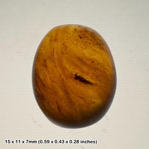 ビルマ産白亜紀琥珀、未確認昆虫含有、紫外線蛍光、COA付き本物標本