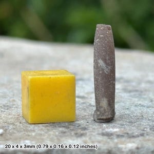 Dorset belemnite (hibolites hastata) fossil - tidmoor point, jurassic uk certificated