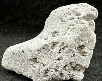 Pedra-pomes, espécime de rocha vulcânica ígnea natural italiana