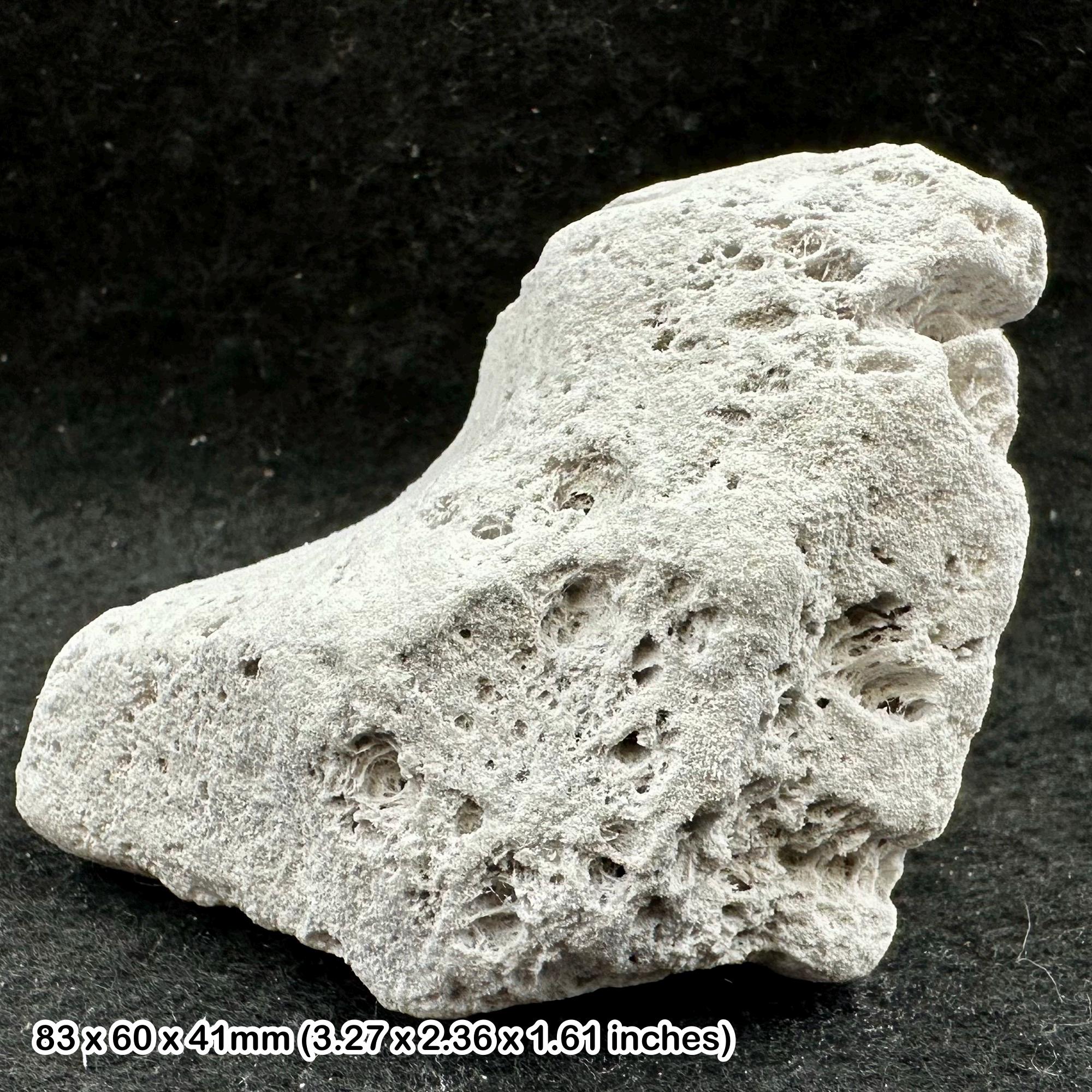 軽石 火山岩 軽石 イタリア産 天然火成岩 火山岩標本 - Etsy 日本