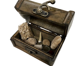 Treasure chest gift with real fossils, crystals, and gemstones - genuine