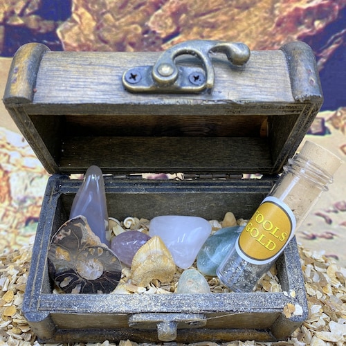 Treasure Chest Gift With Real Fossils Crystals and Gemstones Etsy UK