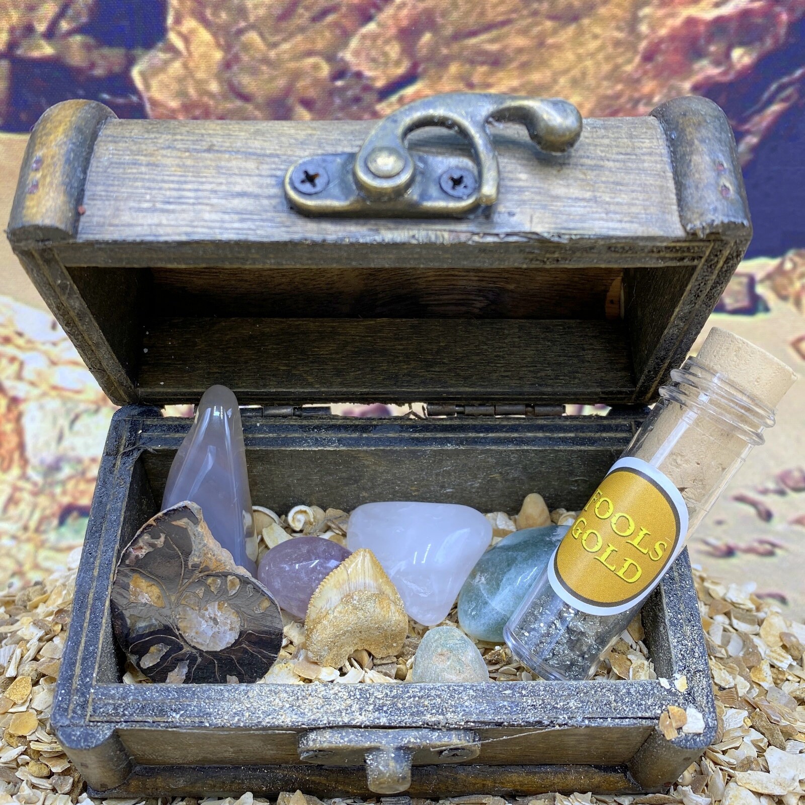 Treasure Chest Gift with Real Fossils Crystals and Gemstones FS9404 *…