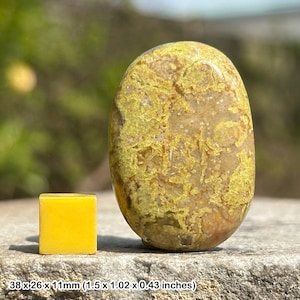 Piedra de palma de ópalo verde, piedra de preocupación, curación con cristales: espécimen genuino con certificado