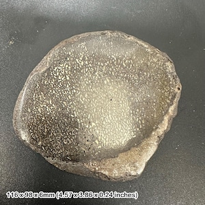 May include: A fossilized bone fragment with a textured surface, displaying a mix of dark brown and light beige colors. The dimensions are 4.57 x 3.86 x 0.24 inches. The fossil has a rounded shape and a unique pattern.