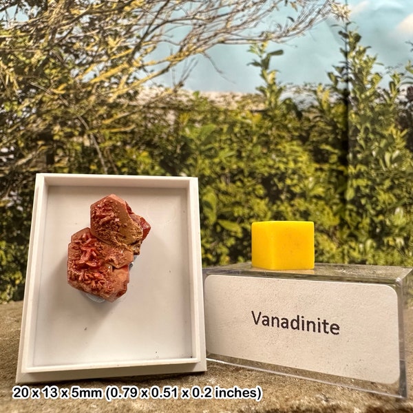 Certified vanadinite vanadium ore, spiritual healing crystal stone