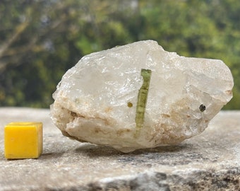 Tourmaline green in quartz happiness - spiritual healing crystal mineral stone - certificated