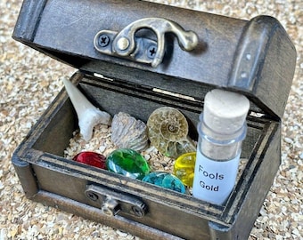 Treasure chest gift with real fossils, crystals, and gemstones - genuine