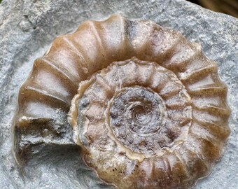 il_340x270.7291651797_cpxn.jpg