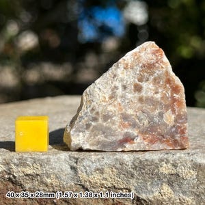 Fósil de coprolito de dinosaurio (Jurásico) – Formación Morrison, Colorado, EE. UU. – Heces prehistóricas auténticas