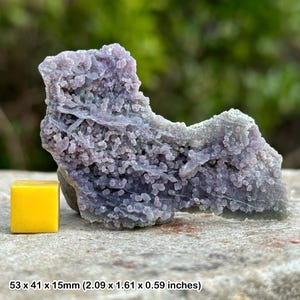 Chalcedony grape - authentic, uk seller