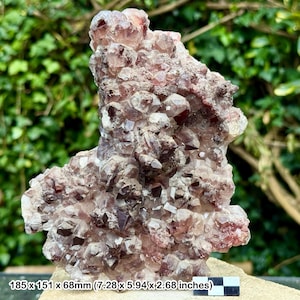 Smoky scepter quartz with amethyst – natural healing crystal, rare collector mineral