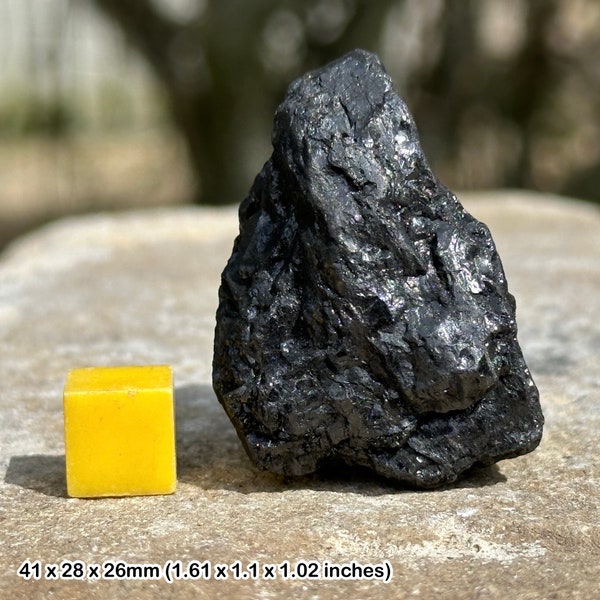 Bituminous coal - uk education sedimentary rock, authentic, uk seller