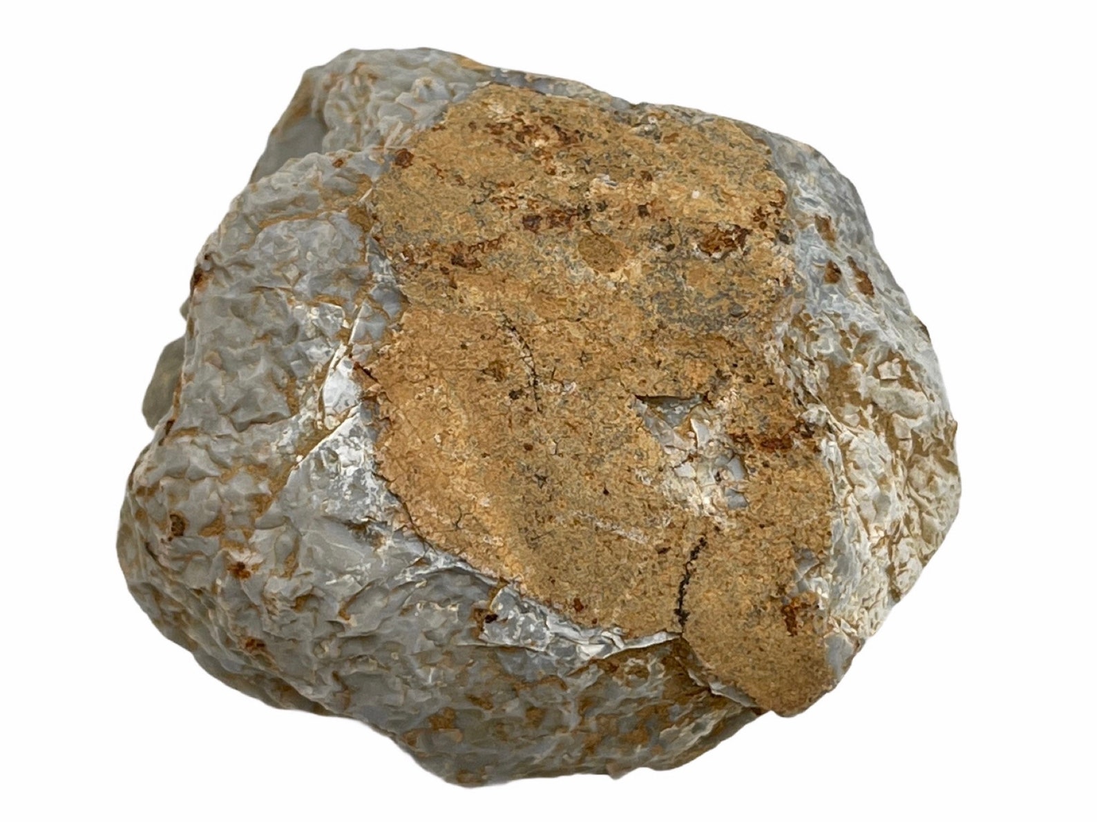 Pot Boiler New Stone Age Artefact 100 Genuine Specimen UK Etsy