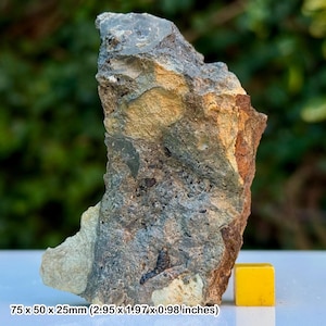 May include: A rough-hewn rock specimen with a mix of gray, brown, and yellow hues. The rock measures 2.95 x 1.97 x 0.98 inches. A small yellow cube is placed next to the rock for scale. The background is blurred green foliage.