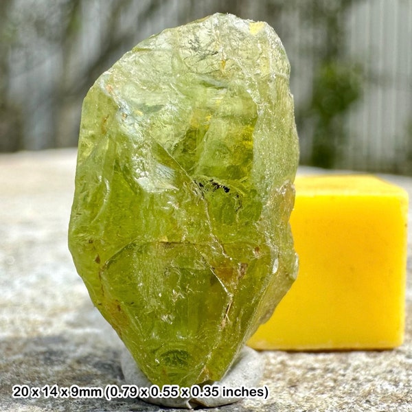 Genuine peridot rough crystal: raw olivine gemstone