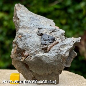 May include: A rough, gray rock formation with embedded dark, shiny fragments and small, brown inclusions. A yellow cube is in the foreground. The rock measures 3.82 x 2.8 x 1.14 inches.