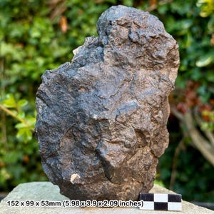 Huge h5 common chondrite meteorite from north west africa, morocco - 1114g - genuine specimen with certificate of authenticity