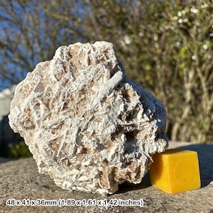 Desert rose gypsum - spiritual healing crystal mineral stone, authentic