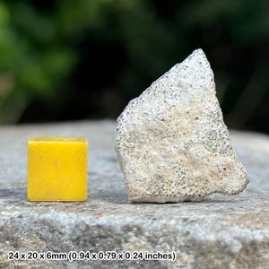 Rare titanosaur dinosaur eggshell fossil – cretaceous period – genuine sauropod remains – france – with certificate of authenticity