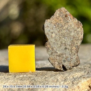 Nwa 869 slices - certified l5 common chondrite meteorite genuine specimen