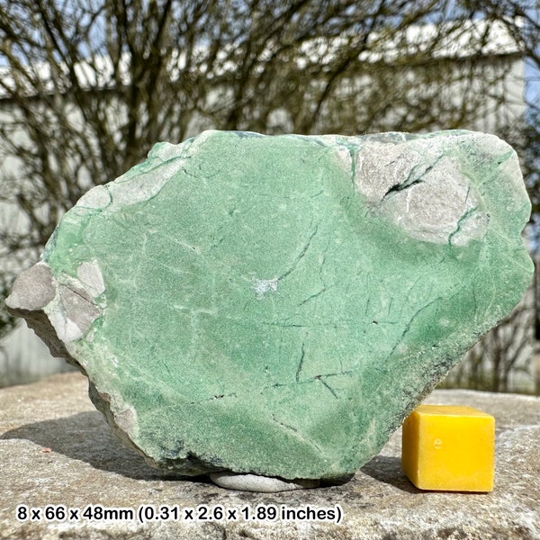 Utah variscite slice - a natural canvas of turquoise elegance!