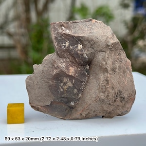 Carboniferous coal measures, somerset (teaching class rock) gcse geology