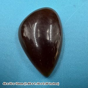 Sulawesi amber palm stone natural indonesian fossil resin genuine collector display specimen with certificate of authenticity
