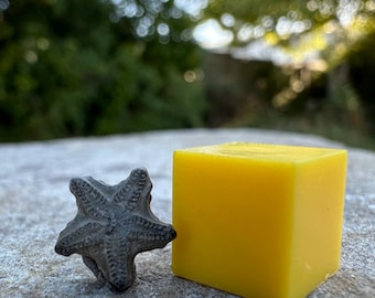 Crinoid star fossil - tidmoor point, dorset, oxford clay, jurassic period