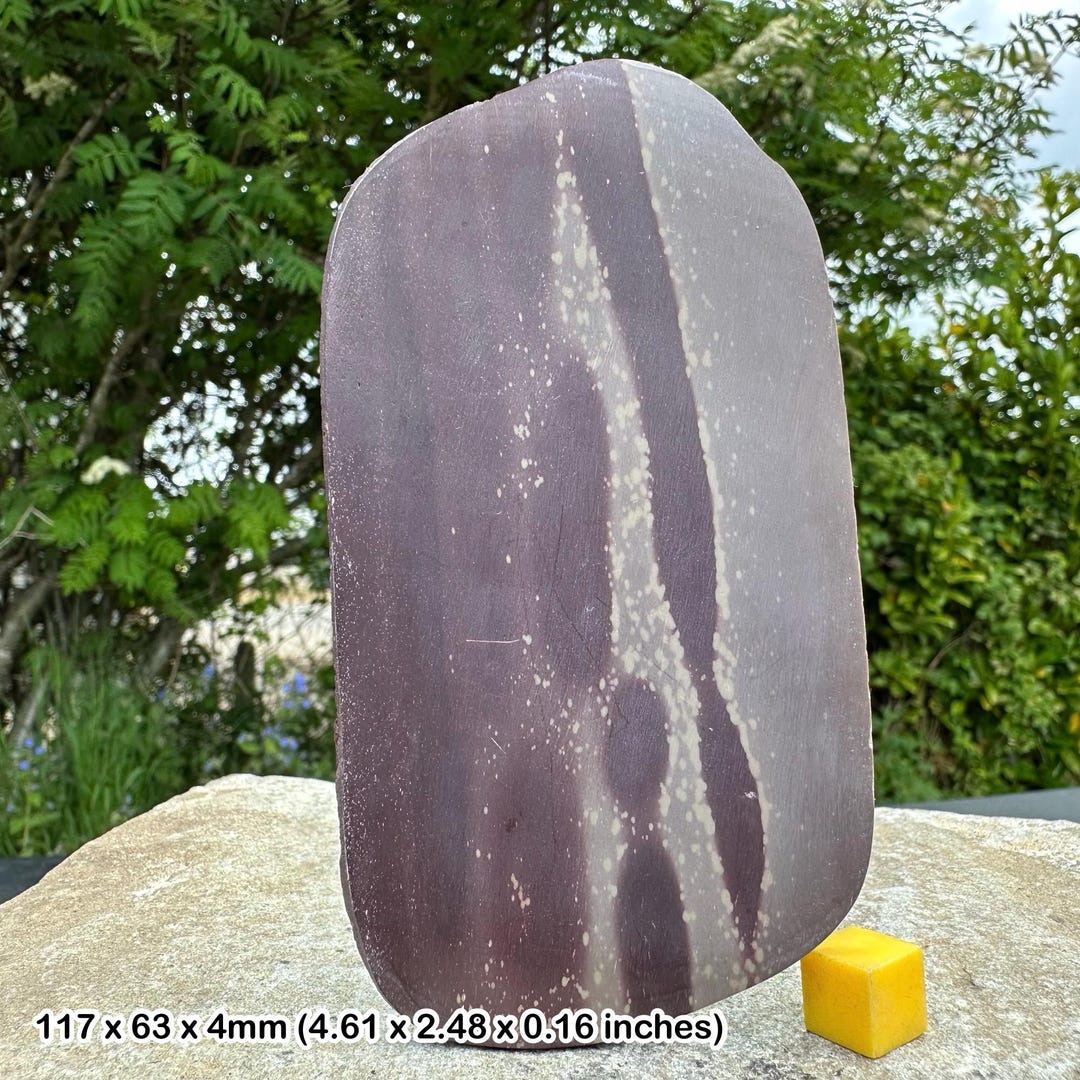 Zebra Stone Polished Fossil Stromatolite Slice , Algae/bacteria Fossil ...