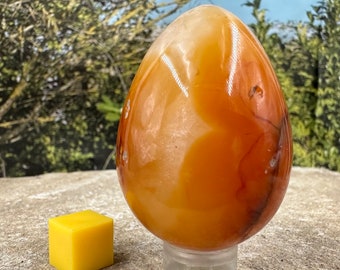 Carnelian egg - brimming with warm hues that evoke the fiery beauty of a desert sunset