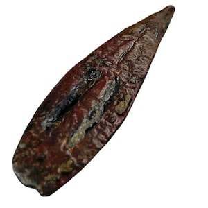 Anglo-saxon strap end – 7th c animal head | kilham uk find | 100% genuine