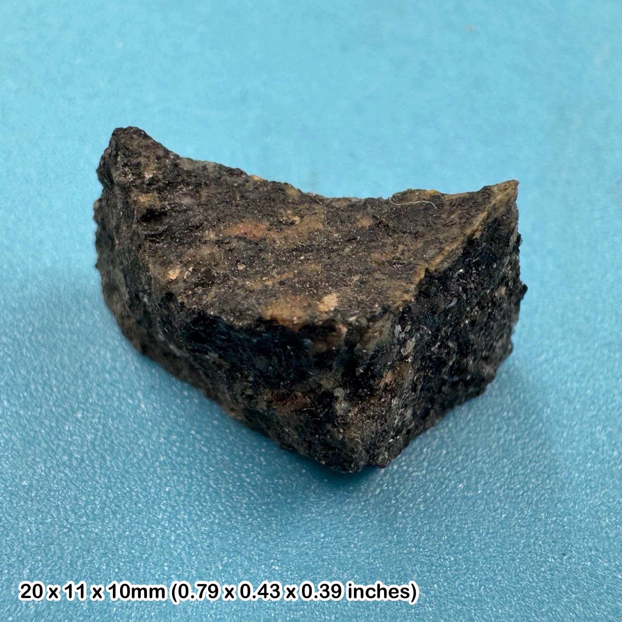 化石　C-23 本物のアカスタ片麻岩標本 – 地球上で最も古い岩石、36億～40億年前の