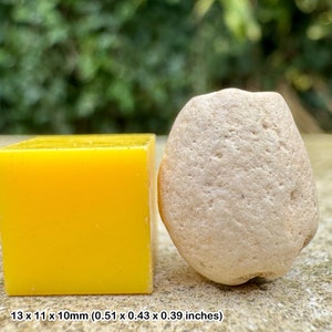 Unique cretaceous fossil sponge from beddington, uk - certified authentic with coa