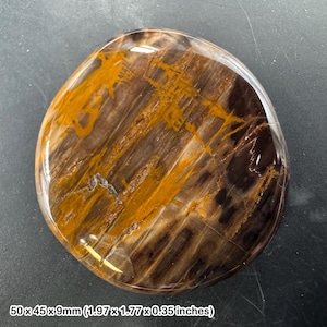 Sorgenstein aus versteinertem Holz, Madagaskar, 40–50 mm, echtes versteinertes Holz | authentisches, poliertes Exemplar eines versteinerten Baumes mit Echtheitszertifikat