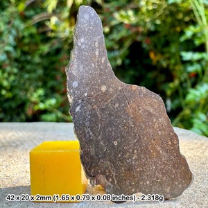 Rare nwa 13518 rumuruti meteorite - genuine specimen w/ certificate of authenticity - unique collectible