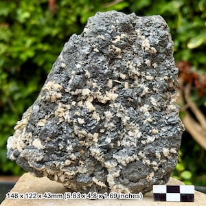 6 inch galena calcite crystal specimen usa natural lead ore cubic crystal — metallic galena with calcite collector mineral display