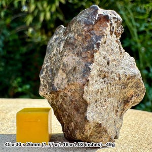 Nwa 869 meteorite | l3/l6 chondrite | genuine specimen | coa included | actual piece shown