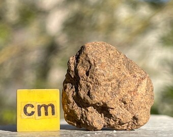L4/5 Common Chondrite Meteorite - 100% Genuine Space Rock - MTT008 *CERTIFICATED*