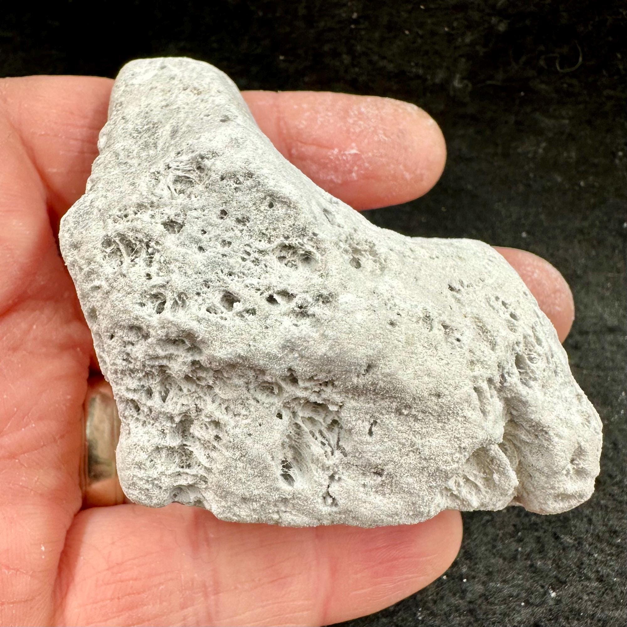 軽石 イタリア産 天然火成岩 火山岩標本 - Etsy 日本
