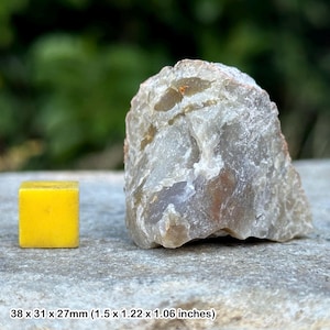 Coprolito de dinosaurio rugoso (excremento fósil), Jurásico, Colorado, EE. UU., certificado