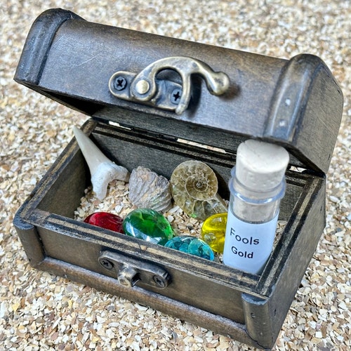 Treasure Chest Gift With Real Fossils Crystals and Gemstones Etsy UK